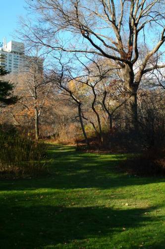 NYC_2006-12-04 14-17-18